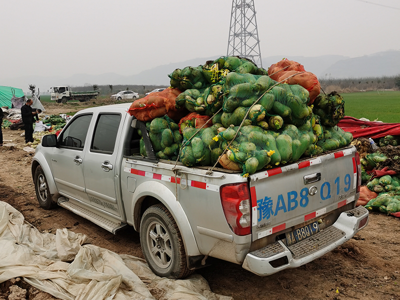 新冠疫情期间，帮扶萝卜滞销户